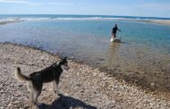 Alcossebre mostra el seu desacord per ficar a la platja de l'Estany en l'informe de Banderes Negres