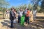 L'olivera de Sinfo de Traiguera ja compta amb el Premi a la Millor Olivera Monumental del Mediterrani