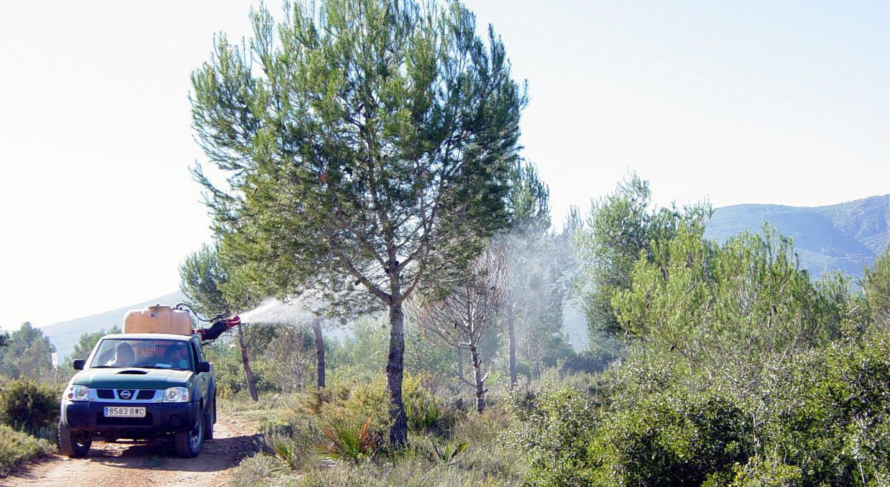 La Generalitat intensifica els treballs per al control de plagues en les muntanyes valencianes