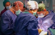La Fe registra un increment del 30,5% de trasplantaments i un 50% més de donacions d'òrgans