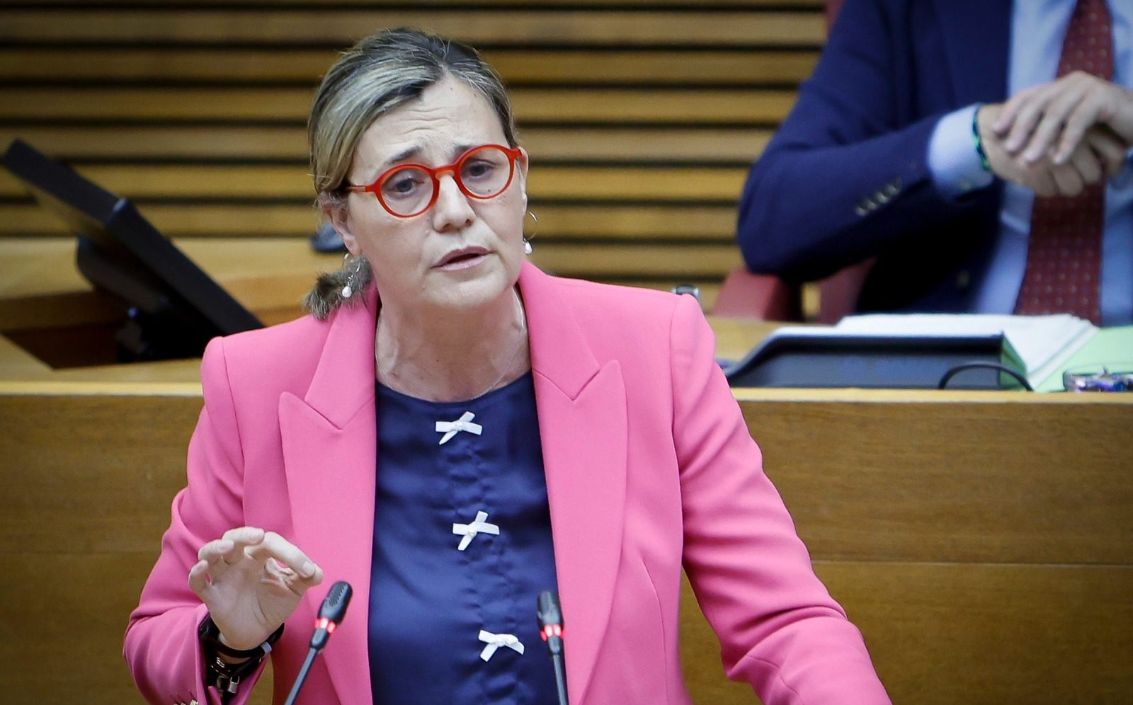 El PPCV exigix al Govern de Sánchez el pagament immediat del deute amb la dependència