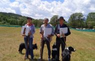 Julio Bayot i Tuca guanyen en el Concurs de Gossos de Rabera de Chiens de Berger en Osseja (França)