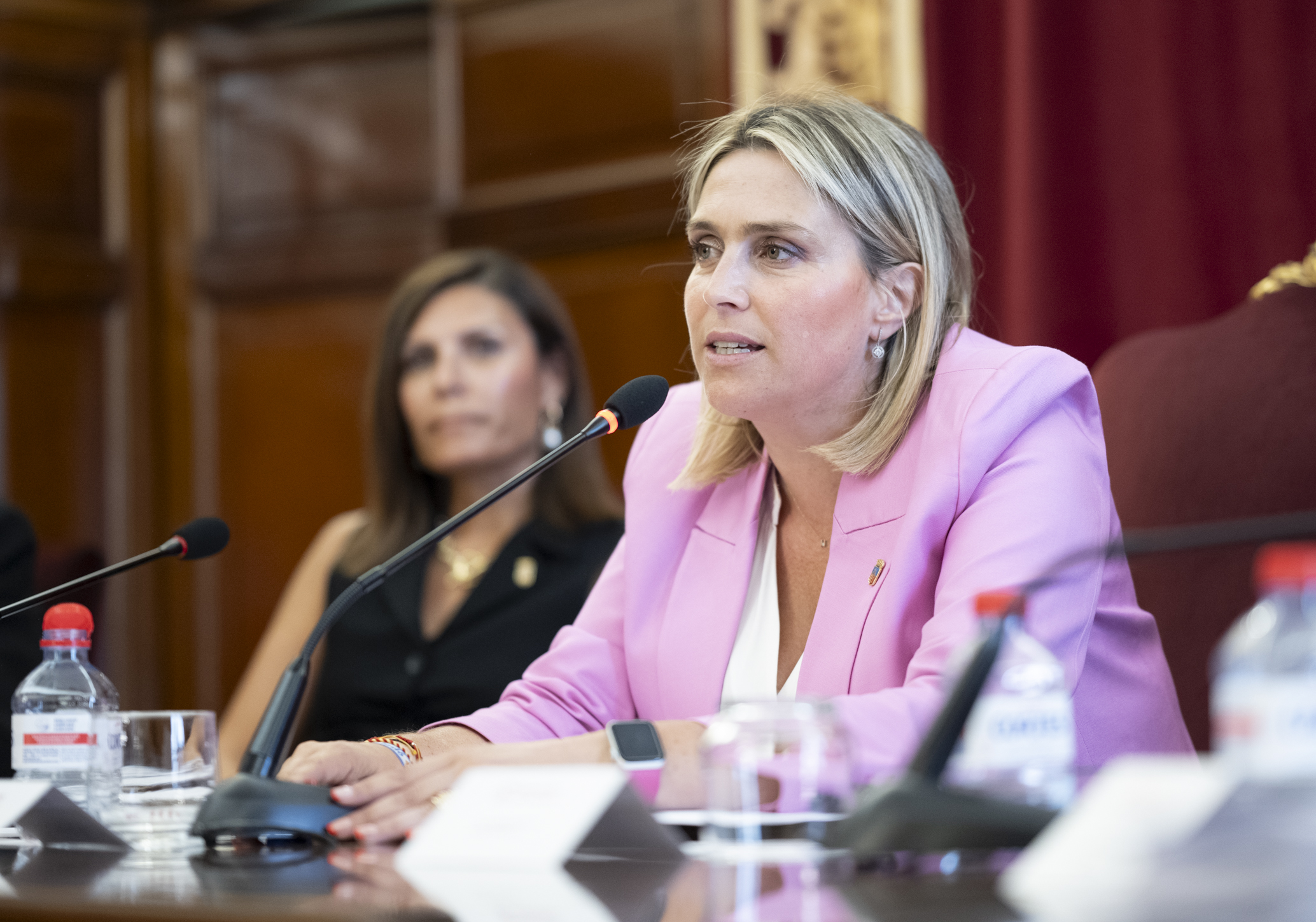 La Diputació exigirà al Govern que assumisca tot el cost de les dessaladores de la província