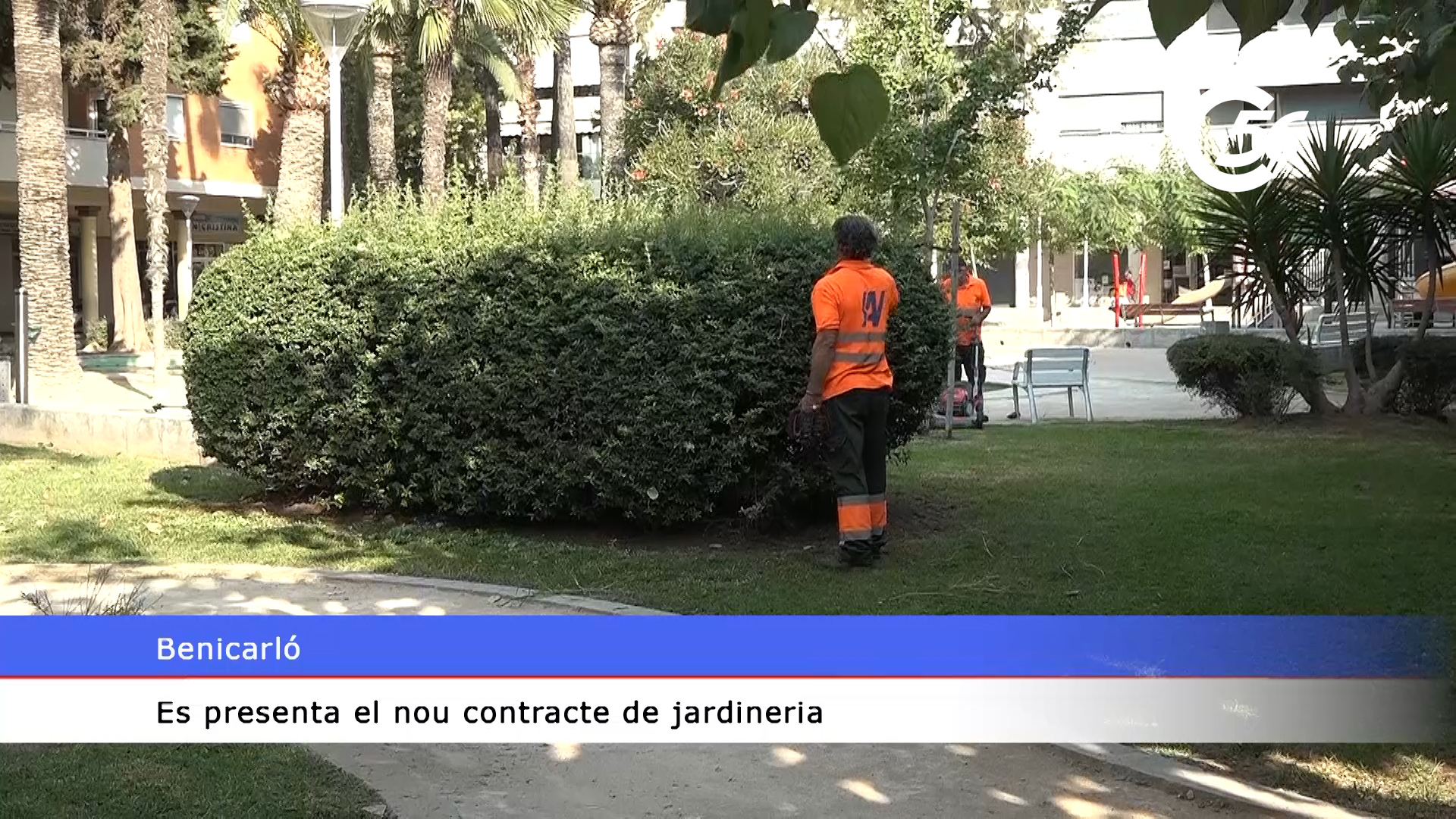 video