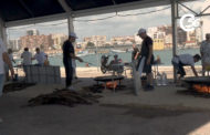 ➤ VÍDEO. FESTES DE VINARÒS. CONCURS DE PAELLES 30-06-2024