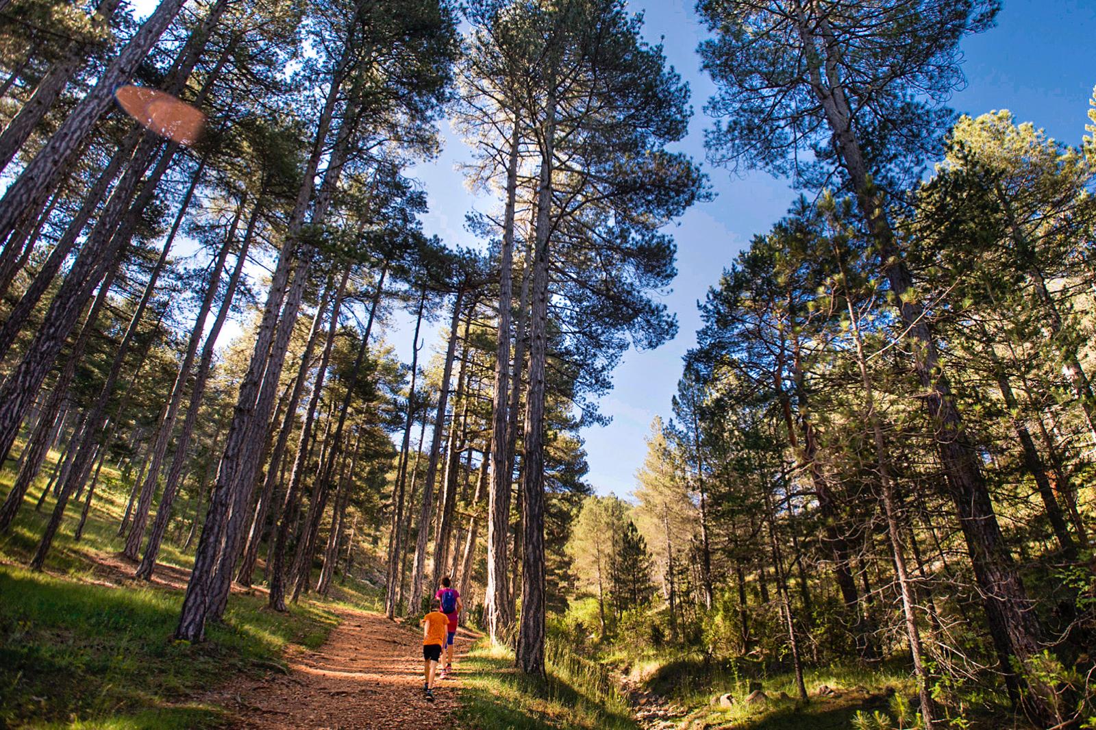 La Diputació reforça el compromís amb la naturalesa i concedix ajudes per a les senderes