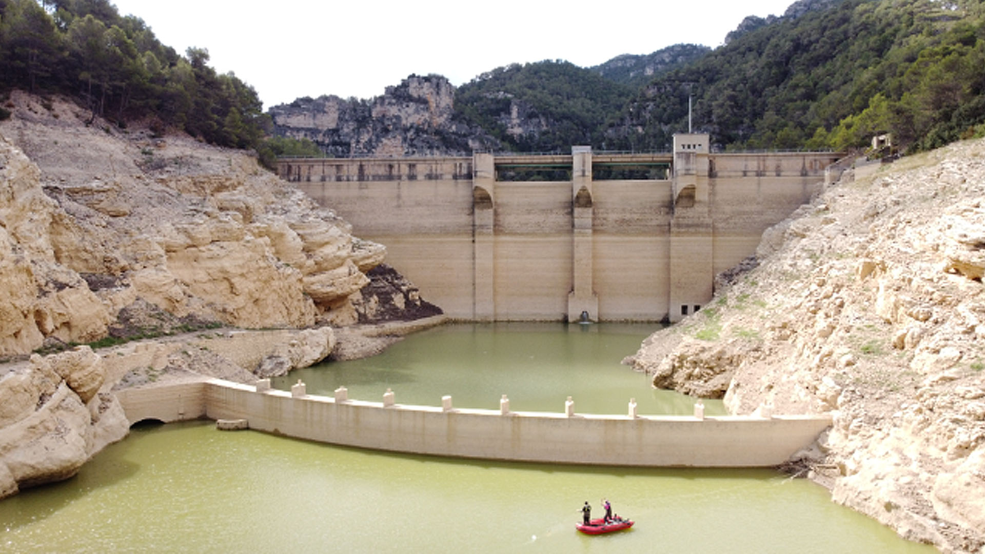 La CHX retira els peixos en els embassaments de Beniarrés i Ulldecona per a garantir la qualitat de l'aigua