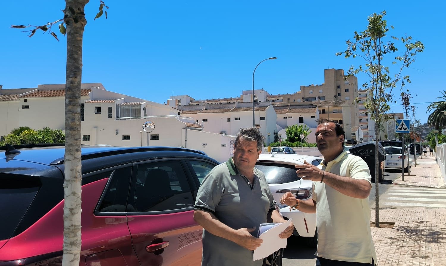 Peníscola destina més de 10.000 euros a plantar arbrat