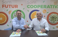 Javier Rillo succeirà a Guillermo Edo com a director general de Benihort