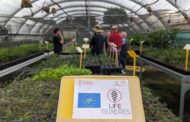 La Generalitat aconseguix la producció de més 30.000 plantes per a la restauració dels boscos