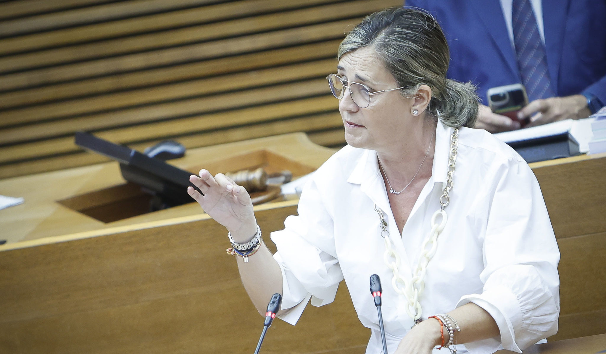 El PPCV defén l'esforç del Consell en dependència davant dels incompliments de Sánchez