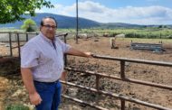 El Consell invertix 125.000 euros per a previndre incendis a través de 23 ramaderies