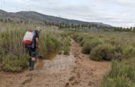 La Diputació intensifica el seu pla de prevenció contra els mosquits després del pas de la DANA 