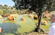 Agricultura subministra 4ML d'aigua a 90 explotacions per a garantir la supervivència de caps de bestiar