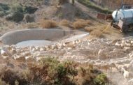 Agricultura subministra en un mes 7ML d'aigua a 41 pobles per a garantir la supervivència del bestiar