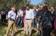 Mazón defendrà a Brussel·les els interessos i la importància de l'agricultura valenciana
