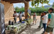 Companyies internacionals de creuers descobrixen la singularitat de Castelló com a destí