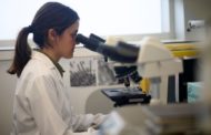 El Centre d'Investigació Príncep Felip impulsa un programa avantguardista d'investigació en càncer