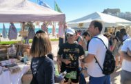 Els comerços de Peníscola participen en una nova edició de les Botigues al Carrer