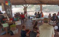 Medi Ambient obri la inscripció perquè els centres escolars puguen participar en l'EDUCAbosc