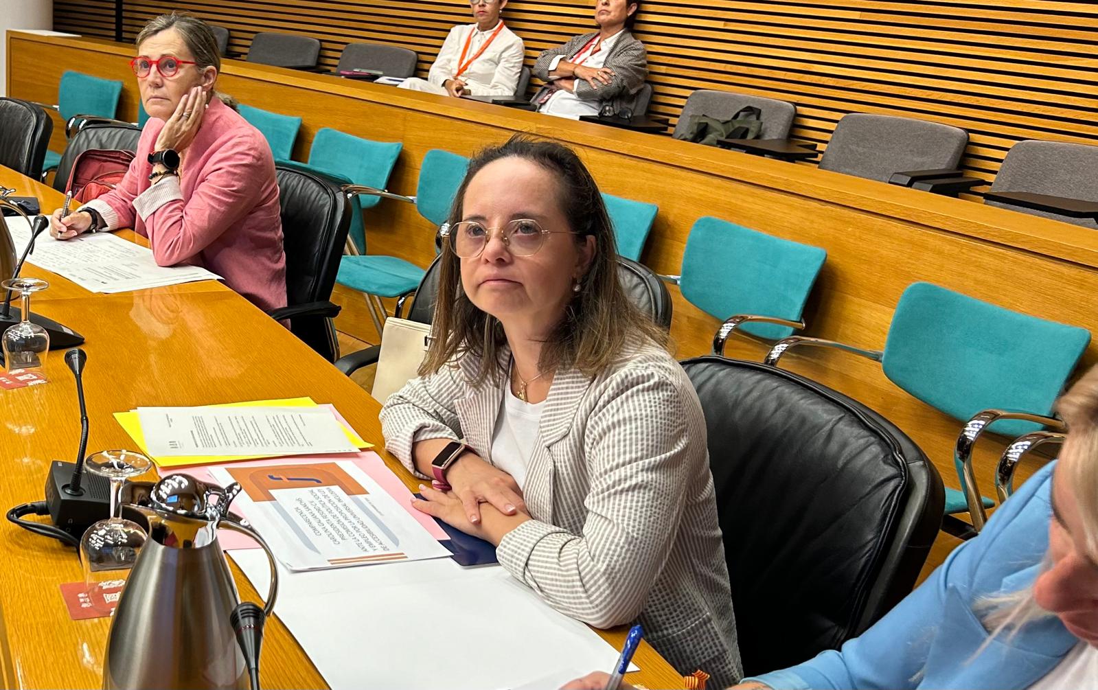 Galcerán: «Només amb l'accessibilitat universal es pot garantir la igualtat d'oportunitats»