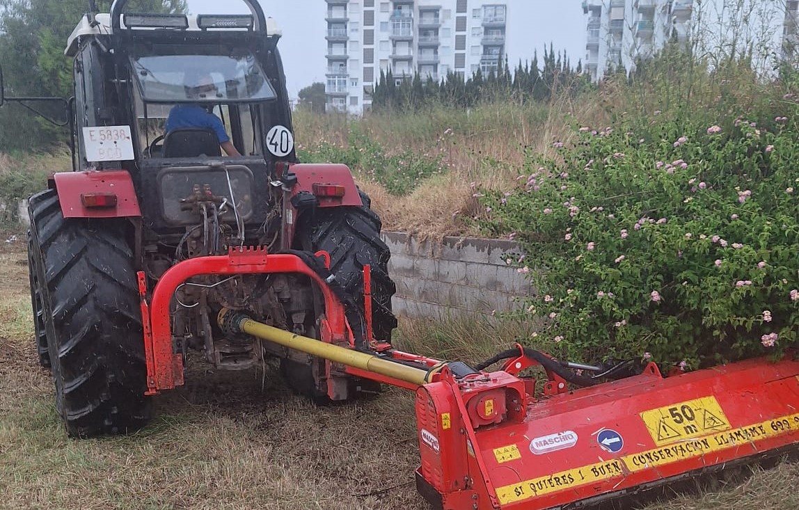 L'Ajuntament de Vinaròs continua els treballs rutinaris de neteja dels barrancs i rieres