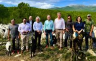 Mus ressalta a Alcalà els beneficis de l'activitat ramadera en la prevenció d'incendis forestals
