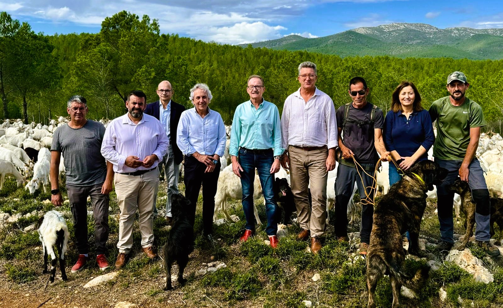 Mus ressalta a Alcalà els beneficis de l'activitat ramadera en la prevenció d'incendis forestals