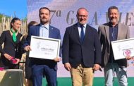 Vinaròs aconseguix tres Flors d’Honor en la VII edició de Viles en Flor