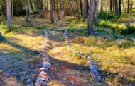 Tírig crea una brigada forestal amb 6 treballadors