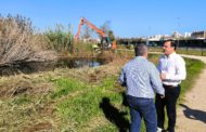 Comencen els treballs de manteniment i conservació de la marjal de Peníscola