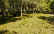 Vinaròs executa les accions recollides en el Pla Local de Prevenció dels Incendis Forestals