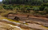 AVA-ASAJA sol·licita costejar les reparacions dels agricultors que no poden esperar als governs