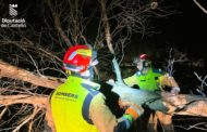 Els Bombers de la Diputació realitzen 43 servicis relacionats amb el vent