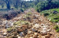 Besalduch sol·licita ajudes urgents per a tots els municipis afectats per la DANA