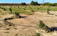 AVA-ASAJA valora que la Conselleria mantinga ajudes malgrat els incompliments per la DANA