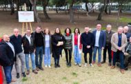Isabel Albalat impulsarà una oposició més ferma i contundent per a salvar el Fons de Cooperació