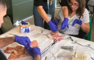 El COMCAS acull una jornada de formació per a més de 100 metges joves i residents