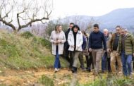 Barrachina destaca la coordinació entre Consell i Diputació amb els 40M per a pal·liar els danys de la dana