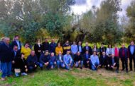 El ministre d'Indústria i Turisme impulsa el turisme de les oliveres mil·lenàries