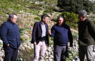 Mazón: «Posem en marxa ajudes al pasturatge per a previndre incendis forestals i impulsar la ramaderia»