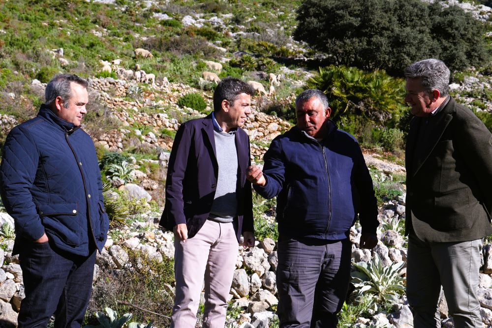 Mazón: «Posem en marxa ajudes al pasturatge per a previndre incendis forestals i impulsar la ramaderia»