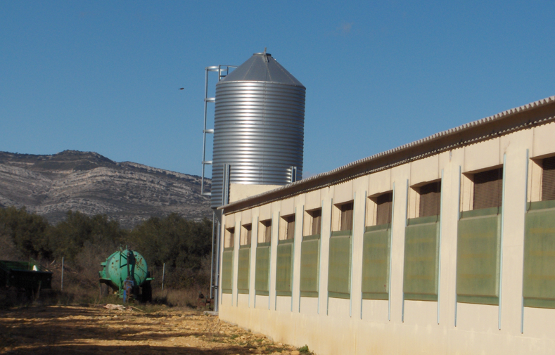 Agricultura adopta mesures de protecció enfront de la malaltia de Newcastle en la Comunitat Valenciana