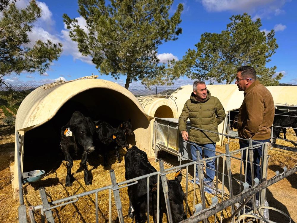 Agricultura reduirà el 50% de la càrrega burocràtica als ramaders