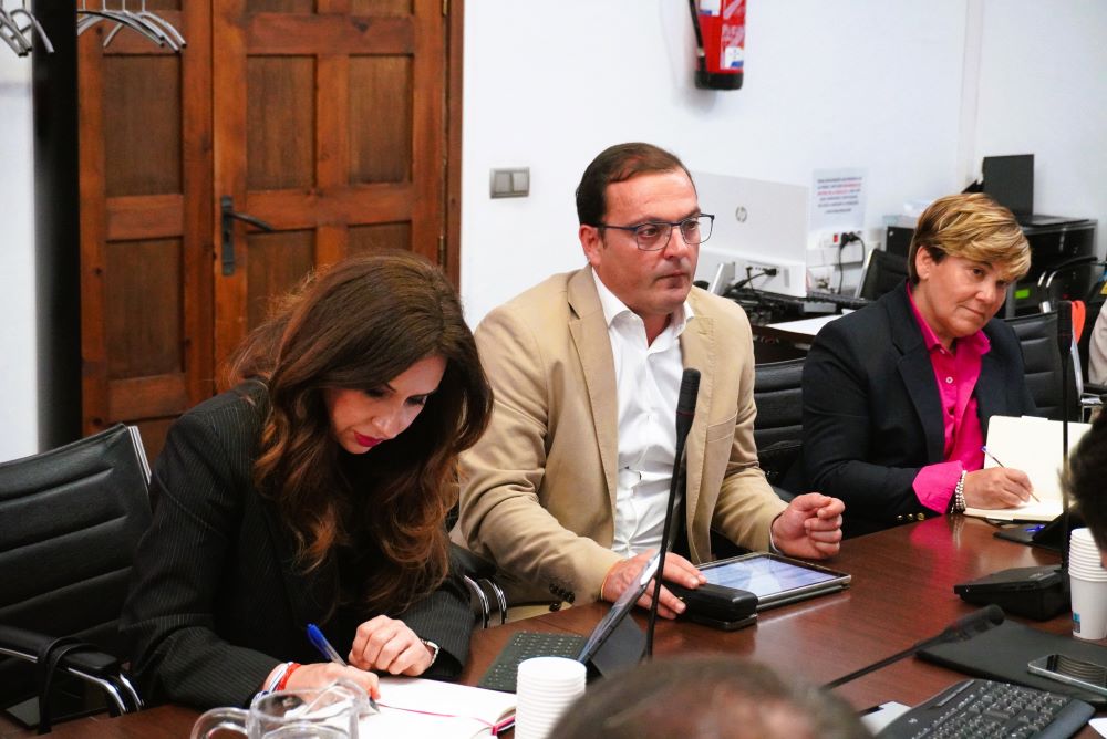 El vicepresident de la Diputació Andrés Martínez assistix a la Comissió de Turisme de la FEMP