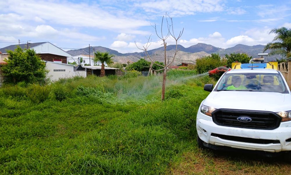 La Diputació reforça les actuacions i els tractaments larvicides per a frenar la presència de mosquits