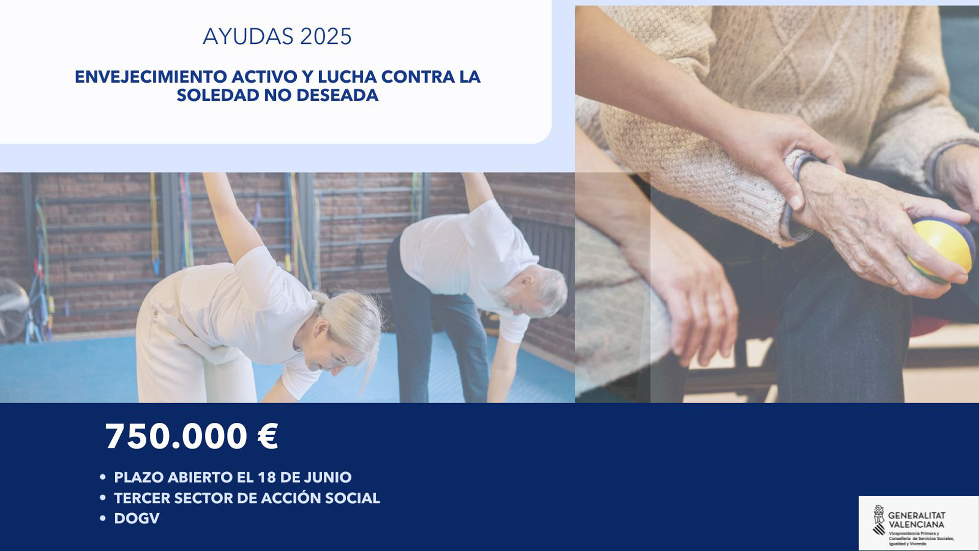 Ajudes per a promoure l'envelliment actiu i la lluita contra la soledat no desitjada