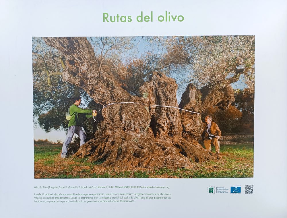 Exposició fotogràfica de les oliveres mil·lenàries Territori Sénia a la Fira del Llibre de Madrid