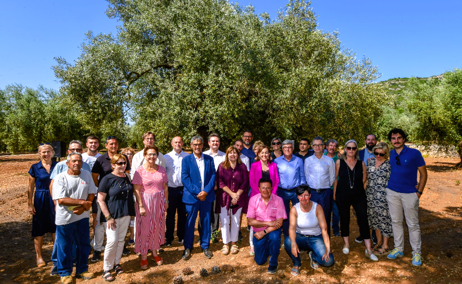 Catalunya aprova un primer «Cens d'Oliveres Monumentals» de 4.160
