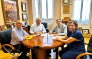 INCLIVA i FUVAMA seguiran aprofundint sobre el potencial saludable dels cítrics